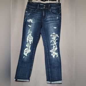 American Eagle Artist Crop Jeans